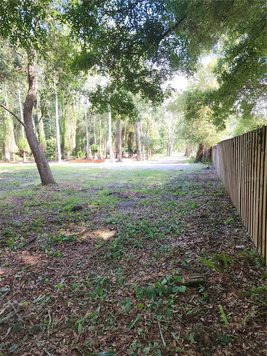 From the back left (NW) corner  of the lot looking south toward the driveway and cul-de-sac. The west lot line along the drive way is 264 feet long.
