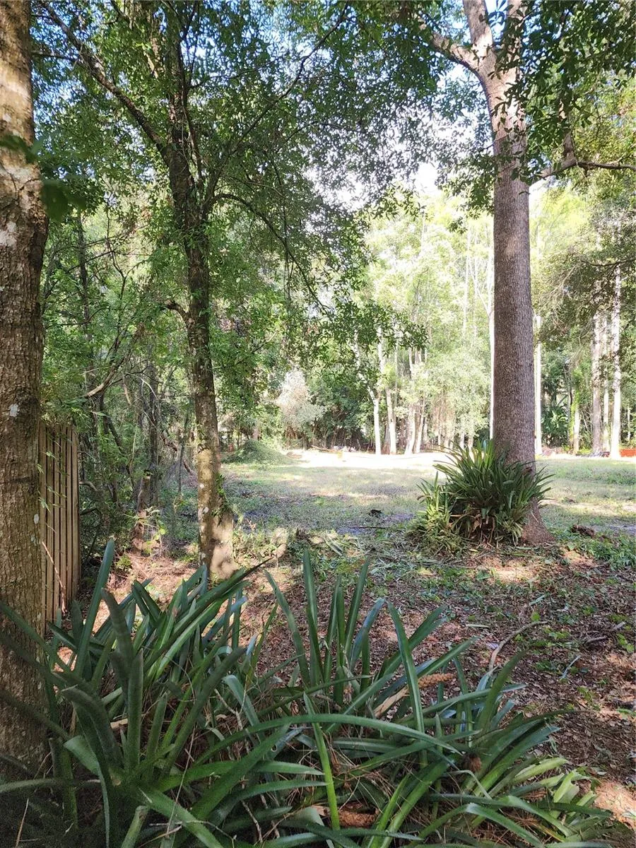177 feet back property line from west looking east.