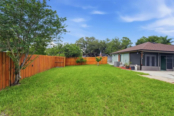 Lush green grass