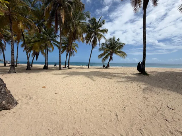 Short Walk to the Beach