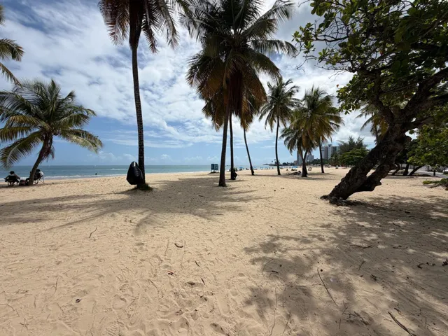 Short Walk to the Beach