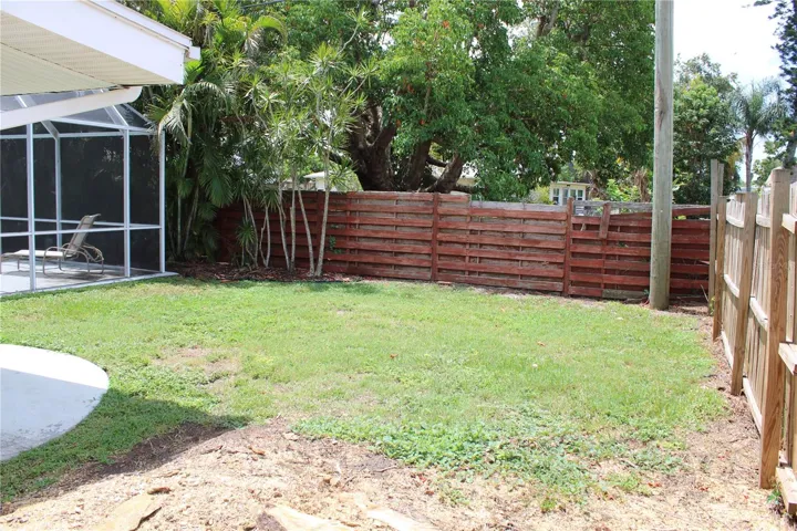 Back yard