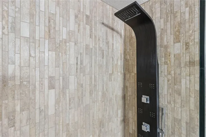 Primary Shower