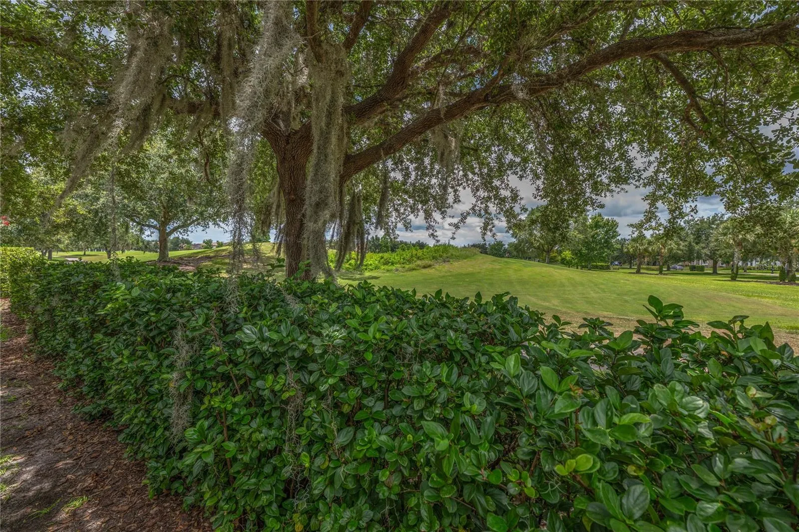 Golf course view from backyard