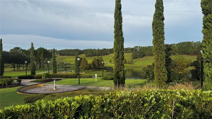 VIEWING AREA
