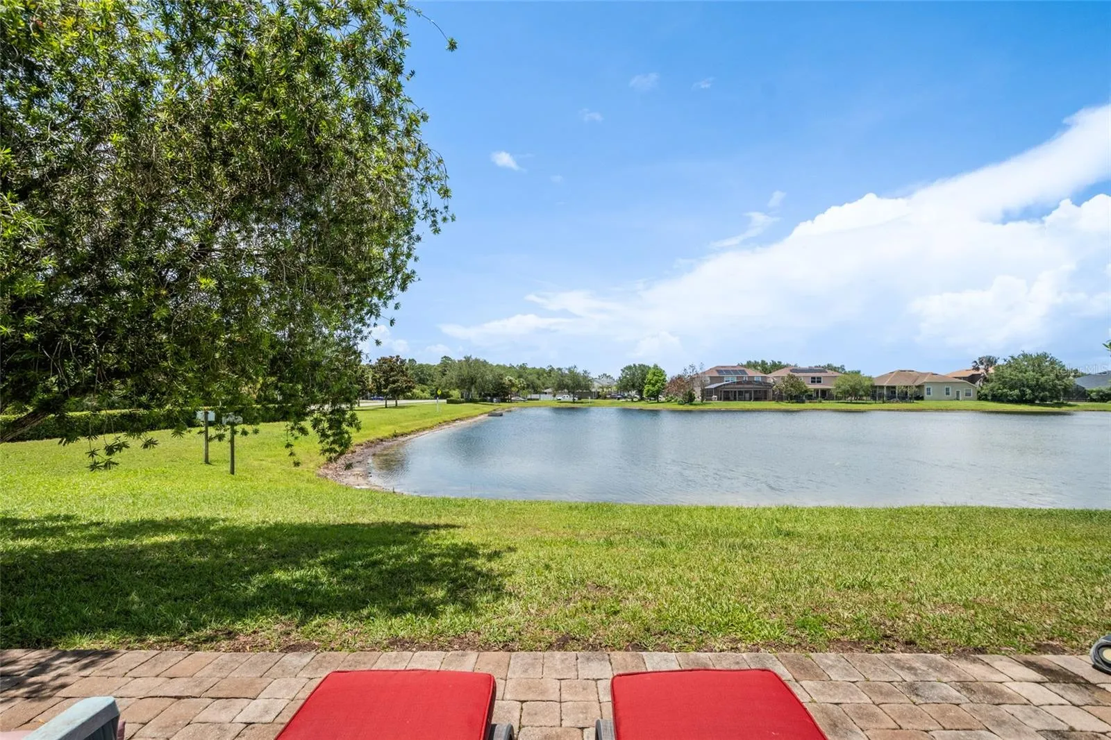 Pond View