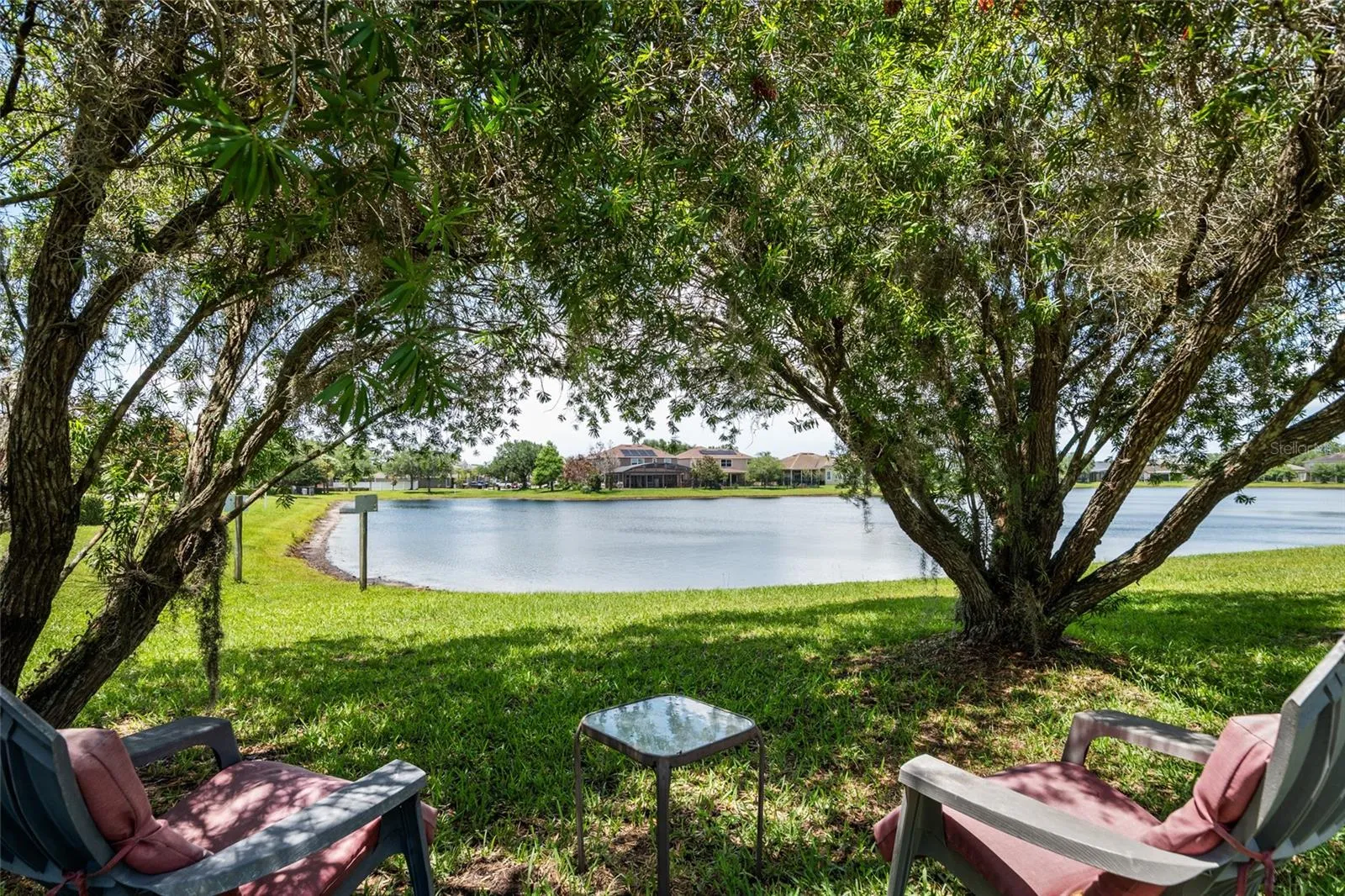 Side Yard View