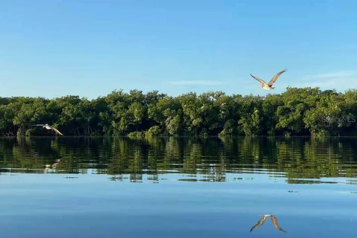 Sanctuary on the oposite side of the unit a preserve for nature