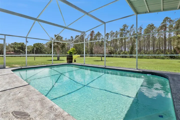 Pool from Living Room French Doors