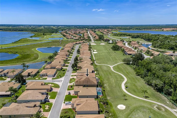 Neighborhood drone view