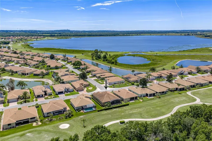Neighborhood drone view