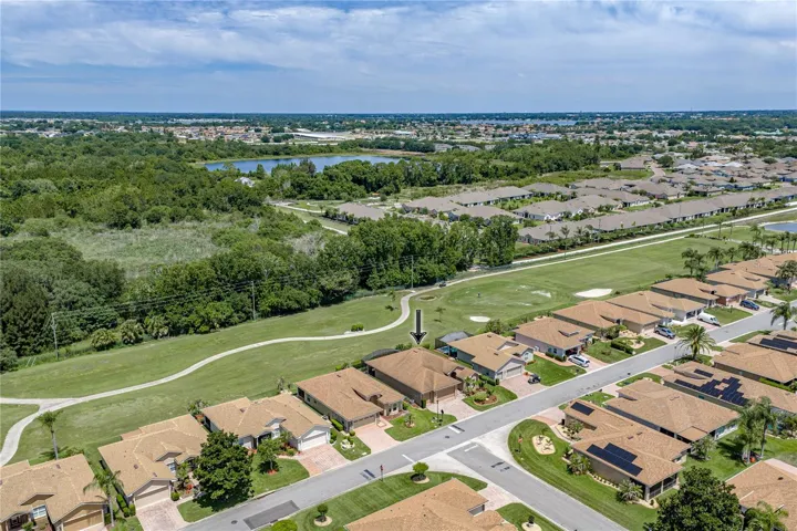 Neighborhood drone view