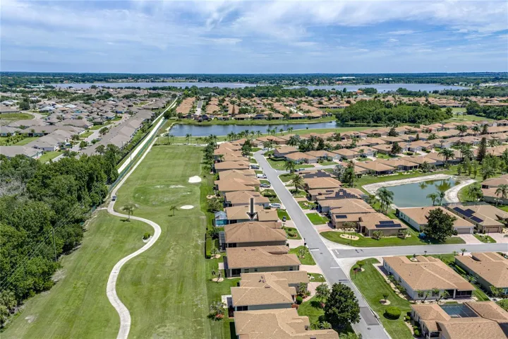 Neighborhood drone view