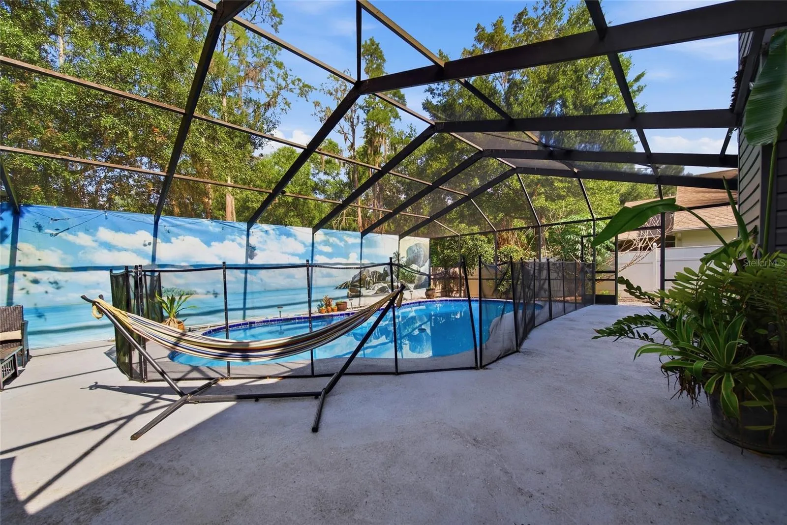 Deck Around Pool