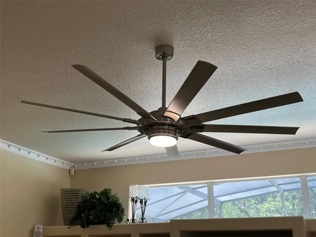 This is the large ceiling fan and light in the family room that will keep you cool all summer long.