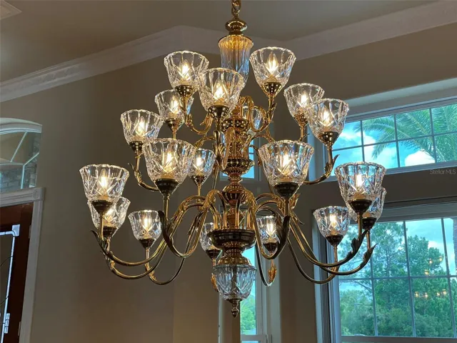 Magnificent dining room chandelier.