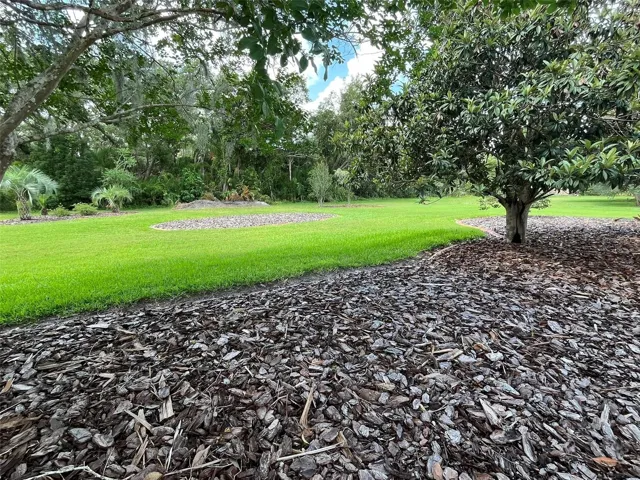 PRIVACY and PLAY TIME will be the focus of this ONE ACRE YARD.  A Garden would be easy to plant in this yard, too.