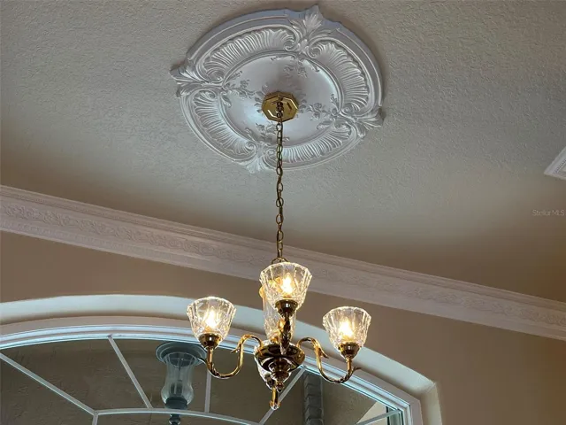 Foyer chandelier and ceiling medallion.