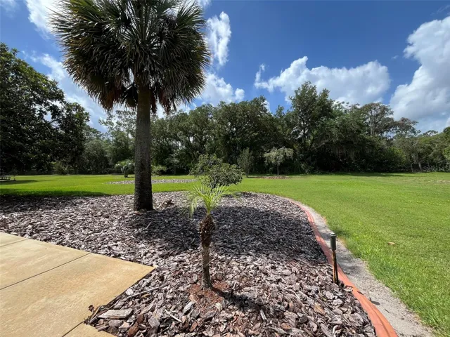 PRIVACY and PLAY TIME will be the focus of this ONE ACRE YARD.  A Garden would be easy to plant in this yard, too.