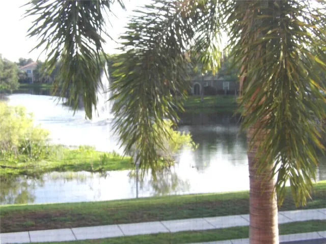 scenic view from condo