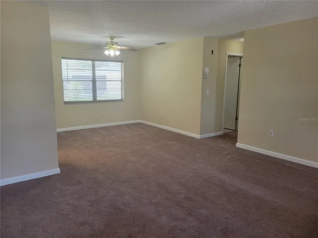 New Carpet