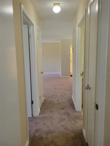 Hall back to Living Room area
