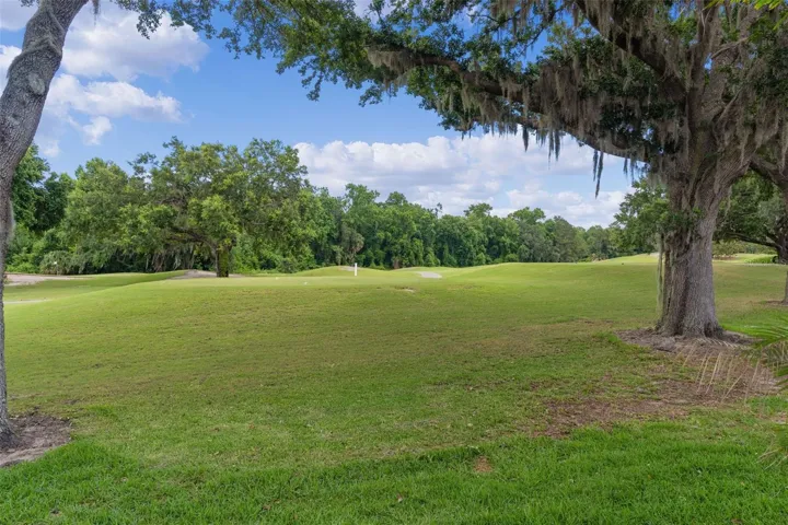Backyard view | 5th Tee
