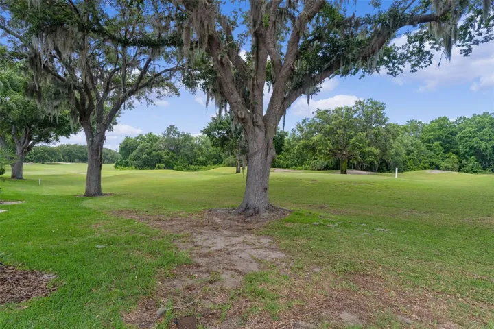 Backyard view | 5th Tee