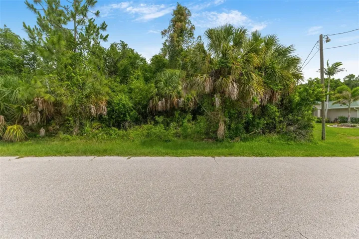 80 x 125 lot on Van Leer