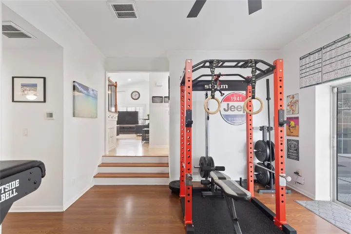 Family Room/Gym
