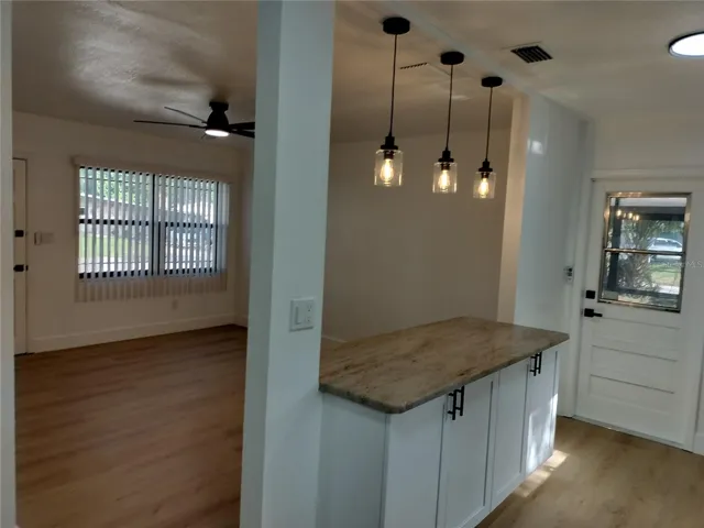 Living Room and Kitchen