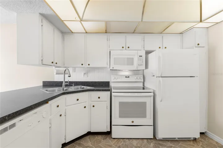 Kitchen includes fridge, dishwasher, electric range/stove, built-in microwave