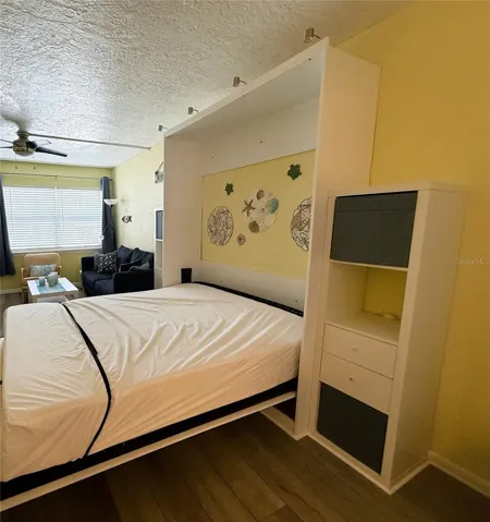 Living Area with Murphy Bed Opened
