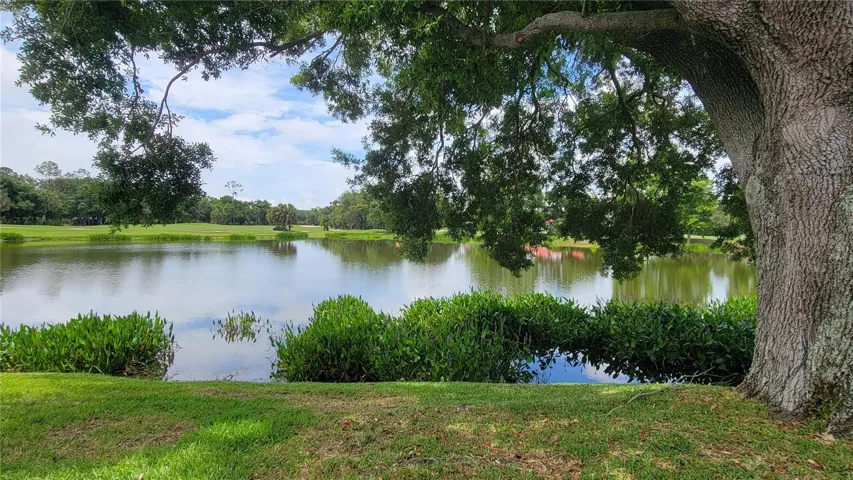 Back of villa view from pond bank.