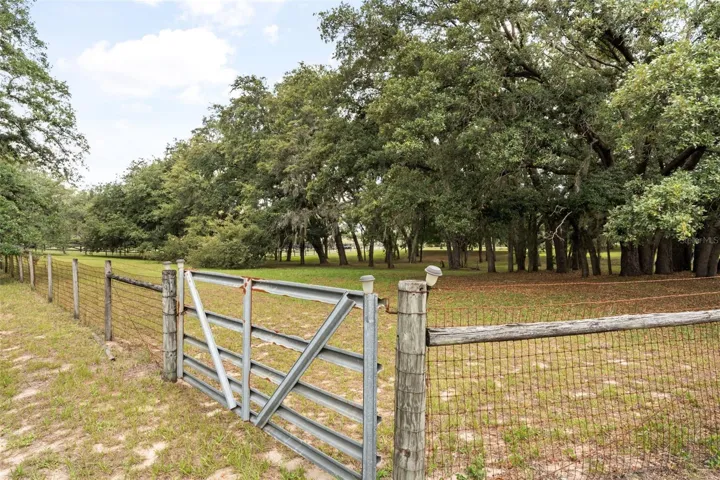 Front Pasture