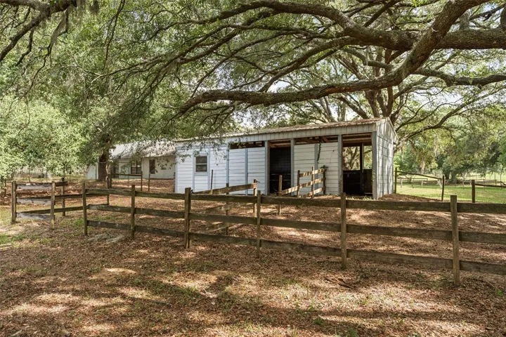 Back of Barn, with Runouts