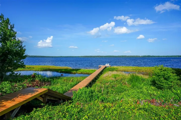 Lake Dorr, Natural Spring Fed Lake / Ocala National Forrest, one with Nature!