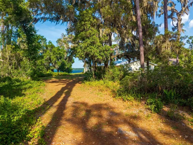 A private approach surrounded by mature trees, Spanish moss, and a protected wooded buffer, leading you into a peaceful Lake Dorr setting that feels worlds away.
