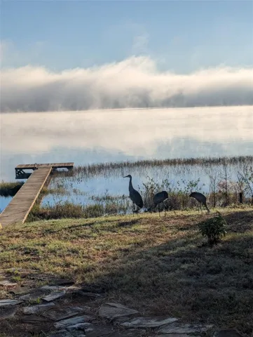 National Geographic in your very own backyard.