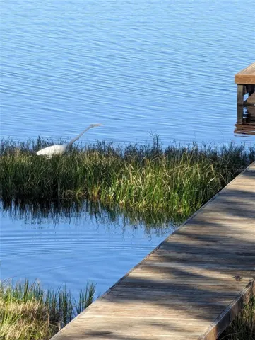 This property offers a private oasis that brings the wonders of nature to your doorstep, providing a lifestyle experience akin to having your very own National Geographic sanctuary in your backyard.