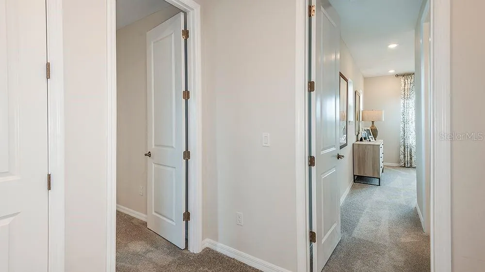 3444 Lumber Falls Dr, Plant City, Florida 33565 — photo 24