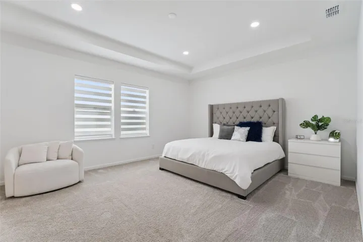 Large owners suite with tray ceiling