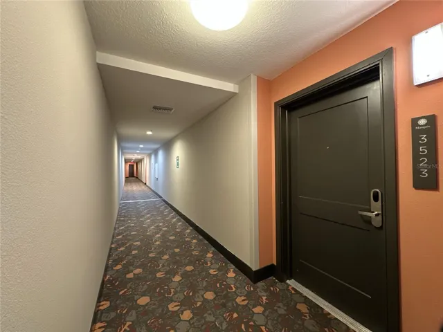 Front door and hallway