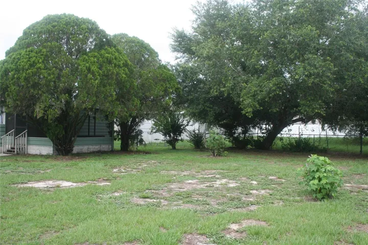 Backyard