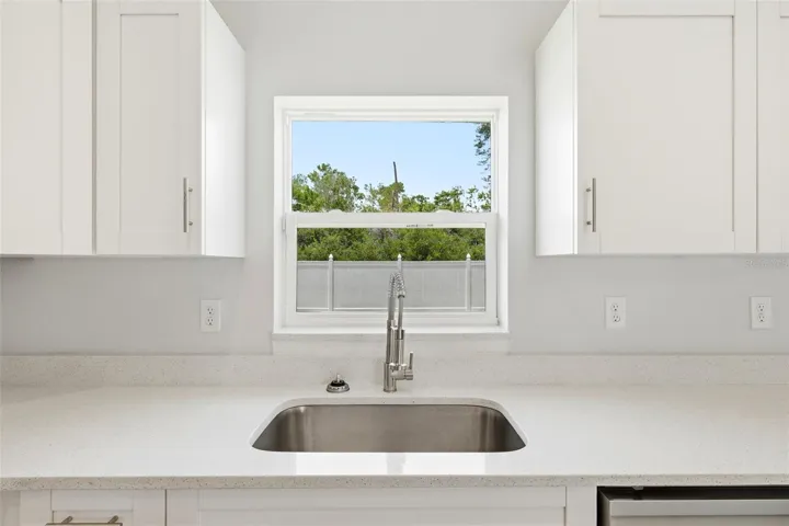Kitchen sink with backyard views and abundant natural light