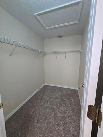 LARGE WALK-IN CLOSET