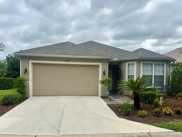 After tree removal