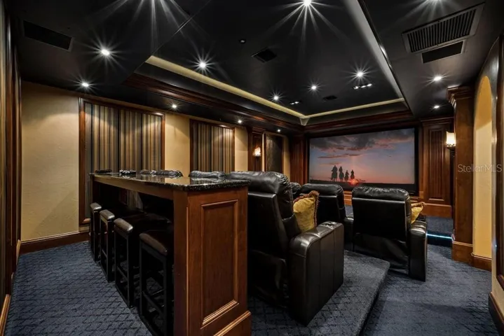 Theatre Room