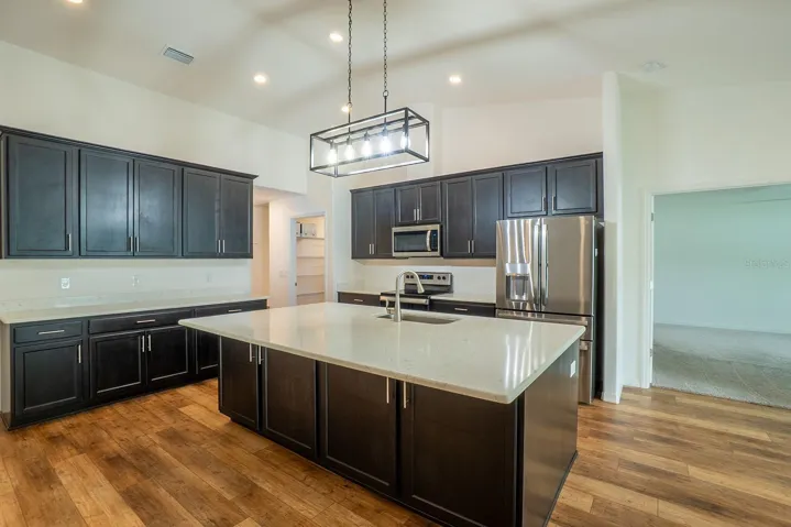 Kitchen-pantry