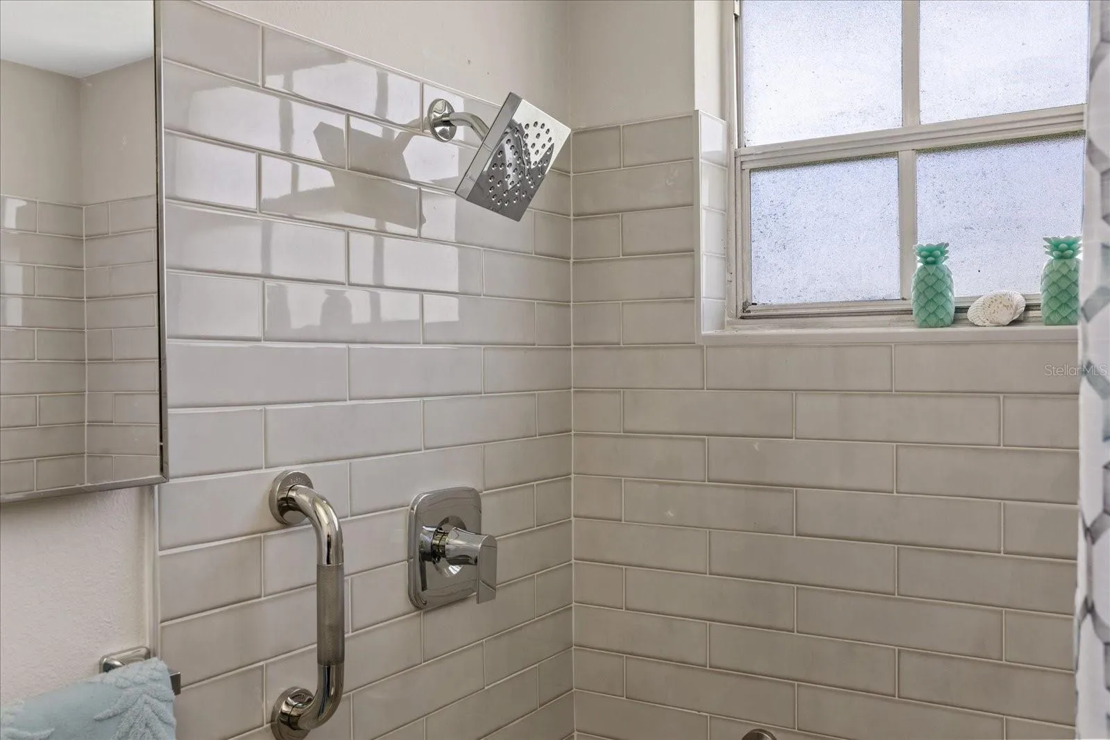 Primary bathroom vanity mirror cabinet insert and rainhead shower with safety hand rail